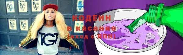 дмт Елизово