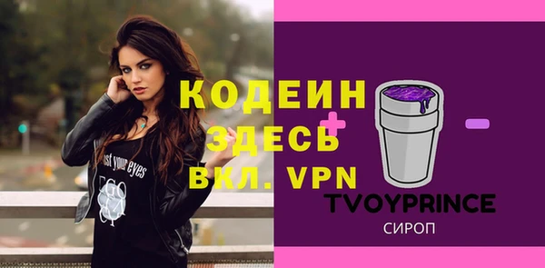 дмт Елизово