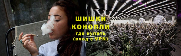 дмт Елизово