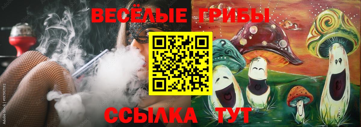 Галлюциногенные грибы Cubensis  Дубна  Псилоцибиновые грибы ЛСД 