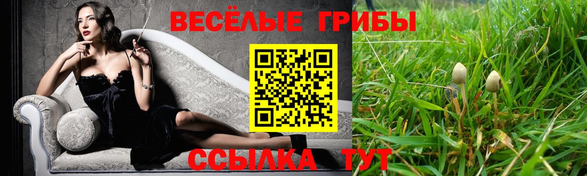 Галлюциногенные грибы мухоморы Дубна