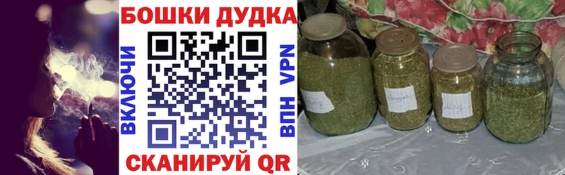 Бошки Шишки ГИДРОПОН  Дубна 